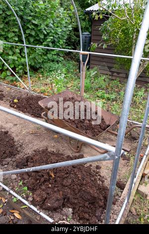 Gut verfaulter Pferdemist wird auf den Polytunnel aufgebracht, wobei die Abdeckung für den Winter entfernt wurde. Stockfoto