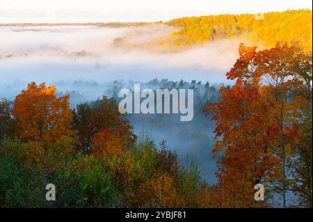 Herrlicher Herbst in Lettland, Blick auf den Fluss Gauja im Morgennebel in Sigulda Stockfoto