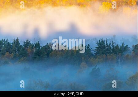 Malerisches Tal mit bunten Bäumen in Sigulda. Herbstnebel bedeckt Wald und Fluss Gauja. Stockfoto