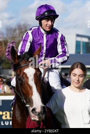 Jockey Wayne Lordan, nachdem er mit Minnie Hauk am ersten Tag des AutumnFest auf dem Leopardstown Racecourse in Dublin, Irland, zum Sieg auf den Irish Hallion Farms EBF Fillies Maiden gefahren war. Bilddatum: Samstag, 19. Oktober 2024. Stockfoto