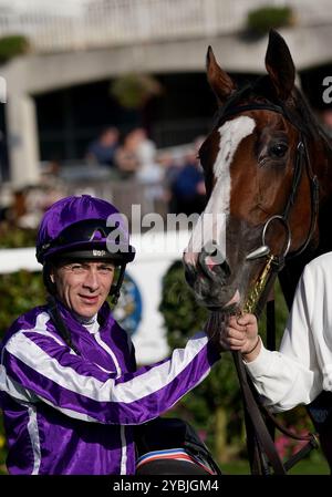 Jockey Wayne Lordan, nachdem er mit Minnie Hauk am ersten Tag des AutumnFest auf dem Leopardstown Racecourse in Dublin, Irland, zum Sieg auf den Irish Hallion Farms EBF Fillies Maiden gefahren war. Bilddatum: Samstag, 19. Oktober 2024. Stockfoto