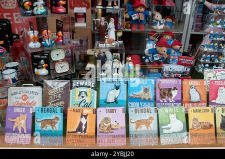 Souvenirladen in der Portobello Road. London Stockfoto