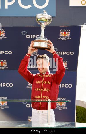 Während des QIPCO British Champions Day auf der Ascot Racecourse, Berkshire. Bilddatum: Samstag, 19. Oktober 2024. Stockfoto