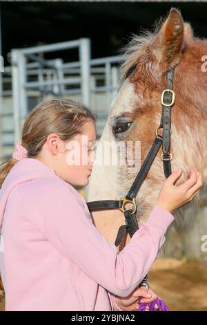 Ayr, Großbritannien. Oktober 2024. Die Kilmarnock Clydesdale Foal Annual Show fand auf dem Ayr Cattle Market in Ayr, Ayrshire, Großbritannien statt, an dem mehr als 20 Clydesdale Fohlen teilnahmen. Die Wettbewerber kamen aus ganz Schottland, um an einer bedeutenden Fohlen-Show im Kalender der Gesellschaft teilzunehmen. Quelle: Findlay/Alamy Live News Stockfoto