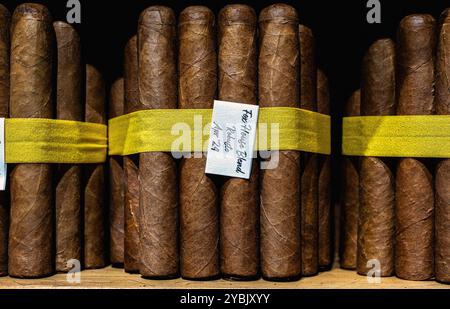 Zigarrenbündel im Humidor-Raum mit konstanter Luftfeuchtigkeit und Temperatur im James J Fox, dem ältesten Zigarrengeschäft in London, England, Großbritannien Stockfoto