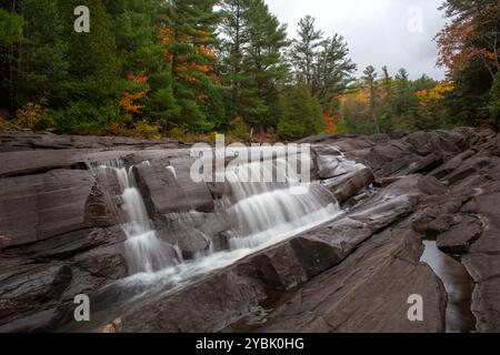 Wilson's Falls in Muskoka, Ontario, Kanada. Stockfoto