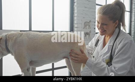 Eine lächelnde junge Tierärztin untersucht einen Hund in einer Indoor-Klinik. Stockfoto