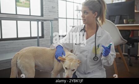 Eine junge erwachsene Tierärztin in einem Klinikzimmer, die einen Mischhund drinnen betreut Stockfoto