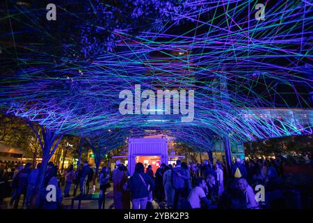 Cincinnati, Oh, Usa. Oktober 2024. Zuschauer werden während einer Lichtausstellung beim Blink Art and Light Festival 2024 in Cincinnati, Ohio, am 18. Oktober 2024 gesehen. (Foto: Jason Whitman/NurPhoto) Credit: NurPhoto SRL/Alamy Live News Stockfoto