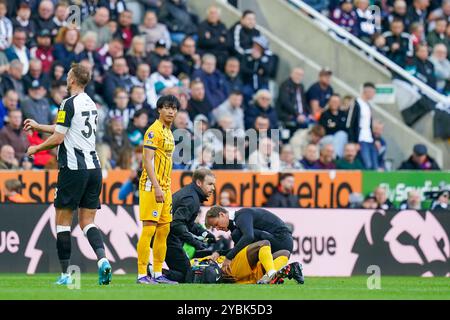 Brighton & Hove Albion Stürmer Danny Welbeck (18) verletzte sich auf dem Boden mit der Medialmannschaft während des Spiels Newcastle United FC gegen Brighton & Hove Albion FC English Premier League in St. James' Park, Newcastle upon Tyne, England, Großbritannien am 19. Oktober 2024 Credit: Every Second Media/Alamy Live News Stockfoto