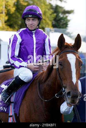 Jockey Wayne Lordan, nachdem er am ersten Tag des AutumnFest auf der Leopardstown Racecourse in Dublin, Irland, genau zum Sieg in den Killavullan Stakes gefahren war. Bilddatum: Samstag, 19. Oktober 2024. Stockfoto