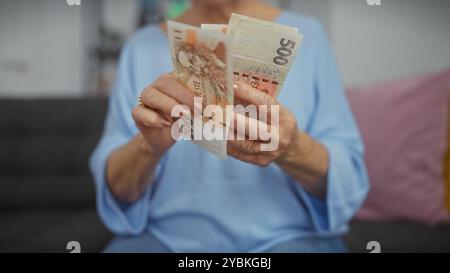 Reife Frau zählt tschechische Kronen-Banknoten in einem gemütlichen Innenbereich zu Hause. Stockfoto