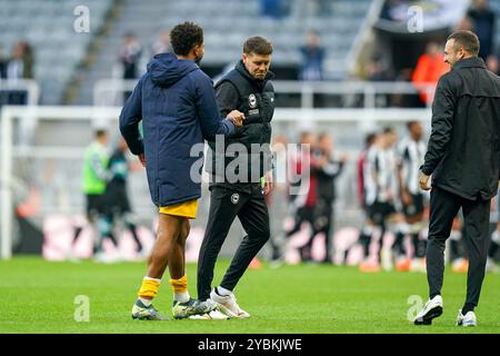 Brighton & Hove Albion Manager Fabian Hurzeler gratuliert Brighton & Hove Albion Stürmer Georginio Rutter (14), nachdem er 0-1 nach dem Spiel Newcastle United FC gegen Brighton & Hove Albion FC English Premier League in St. gewonnen hatte James' Park, Newcastle upon Tyne, England, Großbritannien am 19. Oktober 2024 Credit: Every Second Media/Alamy Live News Stockfoto