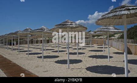 Leerer Strand mit mehreren Sonnenschirmen in porto cesareo, italien, apulien, der die ruhige und sonnige Natur einfängt. Stockfoto