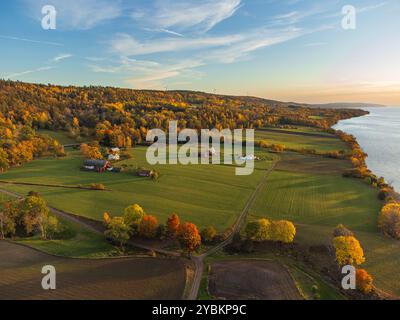 Herbstliche ländliche Landschaft in Schweden bei Gränna, von oben mit lebhaften Farben und großen offenen Feldern, bei Sonnenuntergang. Orange, gelbe und grüne Bäume, grün o Stockfoto