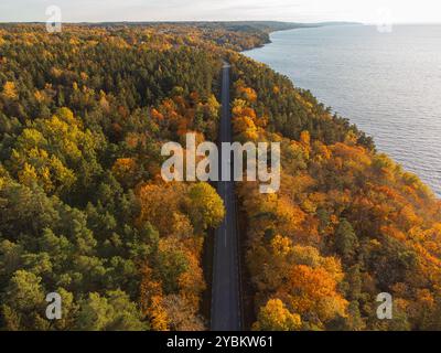 Auto fährt auf einer Herbststraße in Schweden in der Nähe von Gränna, von oben, Wald mit leuchtenden gelben, orangen und grünen Farben. Stockfoto
