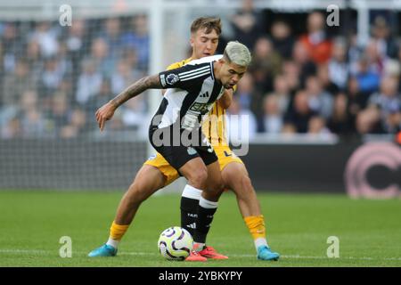 Bruno Guimarães von Newcastle United tritt gegen Brighton und Hove Albions Jack Hinshelwood während des Premier League-Spiels zwischen Newcastle United und Brighton und Hove Albion am Samstag, den 19. Oktober 2024, im St. James's Park in Newcastle auf. (Foto: Michael Driver | MI News) Credit: MI News & Sport /Alamy Live News Stockfoto