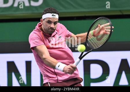 Stockholm, Schweden. Oktober 2024. STOCKHOLM, SCHWEDEN 20241019Grigor Dimitrov aus Bulgarien im Halbfinale BNP Paribas Nordic Open ATP Tennis Singles gegen Tallon Griekspoor aus den Niederlanden in der Royal Tennis Hall in Stockholm, Schweden, am 19. Oktober 2024. Foto: Claudio Bresciani/TT/Code 10090 Credit: TT News Agency/Alamy Live News Stockfoto