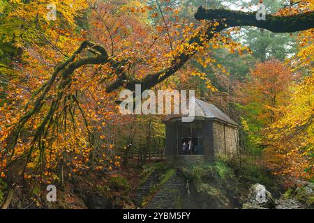 Dunkeld, Schottland, Vereinigtes Königreich. Oktober 2024. Blick auf die Ossian's Hall neben dem Fluss Braan an der Eremitage in vollen Herbstfarben. Die Hermitage ist ein National Trust for Scotland Protected Area und sehr beliebt bei Besuchern, besonders im Herbst. Iain Masterton/Alamy Live News Stockfoto