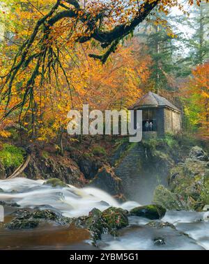 Dunkeld, Schottland, Vereinigtes Königreich. Oktober 2024. Blick auf die Ossian's Hall neben dem Fluss Braan an der Eremitage in vollen Herbstfarben. Die Hermitage ist ein National Trust for Scotland Protected Area und sehr beliebt bei Besuchern, besonders im Herbst. Iain Masterton/Alamy Live News Stockfoto