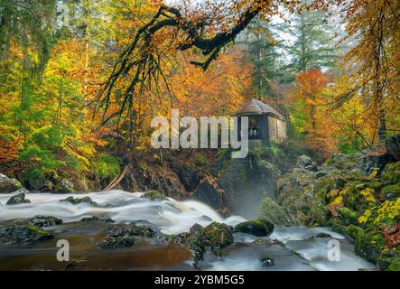 Dunkeld, Schottland, Vereinigtes Königreich. Oktober 2024. Blick auf die Ossian's Hall neben dem Fluss Braan an der Eremitage in vollen Herbstfarben. Die Hermitage ist ein National Trust for Scotland Protected Area und sehr beliebt bei Besuchern, besonders im Herbst. Iain Masterton/Alamy Live News Stockfoto