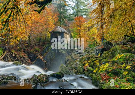 Dunkeld, Schottland, Vereinigtes Königreich. Oktober 2024. Blick auf die Ossian's Hall neben dem Fluss Braan an der Eremitage in vollen Herbstfarben. Die Hermitage ist ein National Trust for Scotland Protected Area und sehr beliebt bei Besuchern, besonders im Herbst. Iain Masterton/Alamy Live News Stockfoto