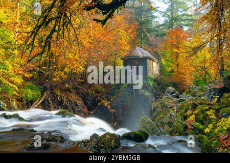 Dunkeld, Schottland, Vereinigtes Königreich. Oktober 2024. Blick auf die Ossian's Hall neben dem Fluss Braan an der Eremitage in vollen Herbstfarben. Die Hermitage ist ein National Trust for Scotland Protected Area und sehr beliebt bei Besuchern, besonders im Herbst. Iain Masterton/Alamy Live News Stockfoto