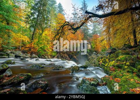 Dunkeld, Schottland, Vereinigtes Königreich. Oktober 2024. Blick auf die Ossian's Hall neben dem Fluss Braan an der Eremitage in vollen Herbstfarben. Die Hermitage ist ein National Trust for Scotland Protected Area und sehr beliebt bei Besuchern, besonders im Herbst. Iain Masterton/Alamy Live News Stockfoto