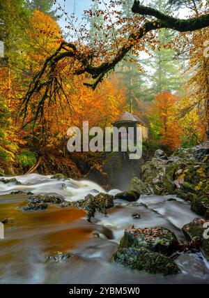 Dunkeld, Schottland, Vereinigtes Königreich. Oktober 2024. Blick auf die Ossian's Hall neben dem Fluss Braan an der Eremitage in vollen Herbstfarben. Die Hermitage ist ein National Trust for Scotland Protected Area und sehr beliebt bei Besuchern, besonders im Herbst. Iain Masterton/Alamy Live News Stockfoto