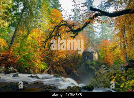 Dunkeld, Schottland, Vereinigtes Königreich. Oktober 2024. Blick auf die Ossian's Hall neben dem Fluss Braan an der Eremitage in vollen Herbstfarben. Die Hermitage ist ein National Trust for Scotland Protected Area und sehr beliebt bei Besuchern, besonders im Herbst. Iain Masterton/Alamy Live News Stockfoto