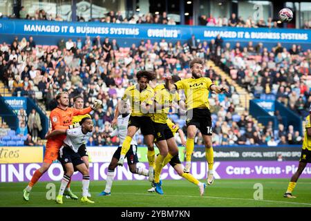 Toughsheet Stadium, Bolton am Samstag, den 19. Oktober 2024. Jack Cooper Love #16 des FC Burton Albion räumt das Gebiet während des Spiels der Sky Bet League 1 zwischen Bolton Wanderers und Burton Albion im Toughsheet Stadium, Bolton, am Samstag, den 19. Oktober 2024. (Foto: Mike Morese | MI News) Credit: MI News & Sport /Alamy Live News Stockfoto