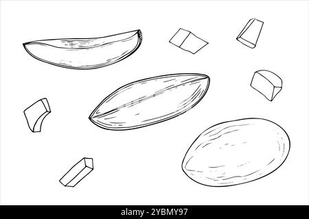 Mango Frucht Vektor Linie Art schwarz-weiße Tinte Skizze. Fruchtscheiben in verschiedenen Formen monochrome handgezeichnet flach. Lebensmittelelemente für ein gesundes Dessert Stock Vektor