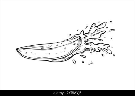 Reife Fruchtscheibe mit Saftspritzern Vektor isolierte Illustration gemalt von schwarzen Tinten. Mangostück in Wassertropfen handgezeichnete Skizze. Stock Vektor