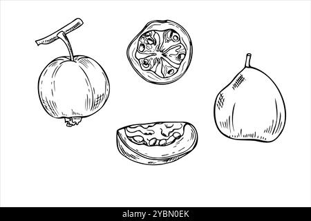 Ganze und geschnittene Guave Frucht Vektor Lebensmittel Illustration Set gemalt von schwarzen Tinten. Tropische, süße Pflanze in Schwarzweiß-Optik in grafischem, realistischem Stil. Stock Vektor