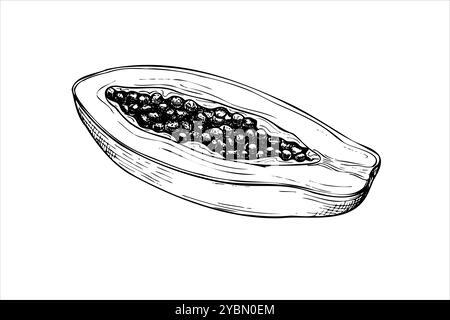 Schnitt exotische Papaya Frucht Vektor isolierte Illustration gemalt von schwarzen Tinten. Tropische süße Pfotenpflanze mit Samen handgezeichnete grafische Skizze Stock Vektor