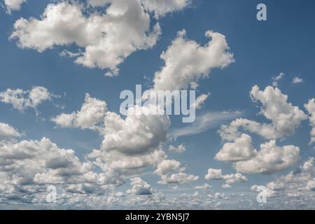 Im Frühjahr füllen weiße Zirruswolken den Himmel bis zum Horizont. Europäisches Normalpapier. Stockfoto