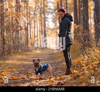 Frau mittleren Alters mit französischer Bulldogge, die im Herbstpark spaziert. Stockfoto