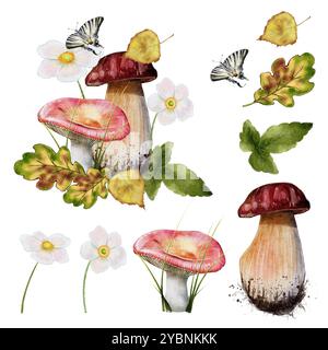 Aquarellabbildung auf weißem Hintergrund. Herbstkomposition - weißer Pilz und rosa Russula, zwei weiße Anemonenblüten, Eichen- und Birkenblätter, ein Schmetterling Stockfoto