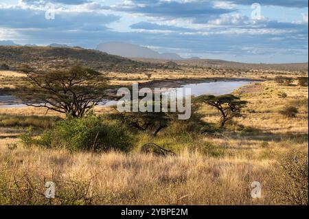 Ewaso ng'iro River, Buffalo Spring Game Reserve, Samburu National Reserve, Kenia, Afrika Stockfoto