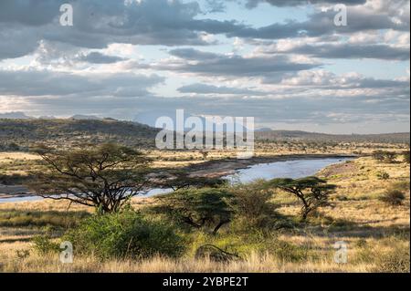 Ewaso ng'iro River, Buffalo Spring Game Reserve, Samburu National Reserve, Kenia, Afrika Stockfoto