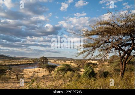 Ewaso ng'iro River, Buffalo Spring Game Reserve, Samburu National Reserve, Kenia, Afrika Stockfoto