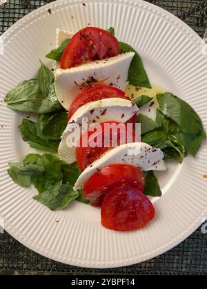 Tomaten, Mozzarella-Käse und Basilikumsalat, 2024, USA Stockfoto