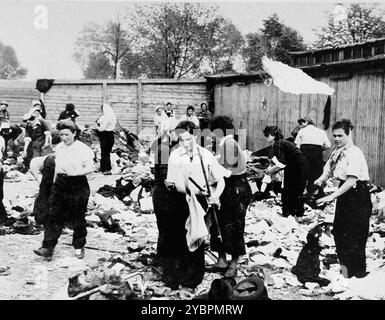 Gefangene des Aufräumungskommandos entladen das konfiszierte Eigentum eines Transports ungarischer Juden in einem Lager in Auschwitz. Die Juden in Ungarn waren ziemlich sicher, bis Hitler aus Angst, Ungarn würde einen Vertrag mit den Alliierten suchen, die Invasion des Landes im März 1944 anordnete. Zwischen dem 15. Mai und dem 9. Juli 1944 wurden über 434.000 Juden mit 147 Zügen deportiert, die meisten nach Auschwitz, wo etwa 80 Prozent bei der Ankunft vergast wurden. Der schnelle Fortschritt der Deportationen wurde durch die enge Zusammenarbeit zwischen den ungarischen und deutschen Behörden ermöglicht. Stockfoto