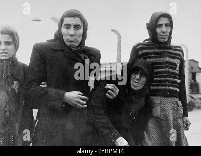 Jüdische Frauen aus den Unterkarpaten Rus, Teil Ungarns, die in Auschwitz-Birkenau zum Tode auserwählt wurden, gehen zu den Gaskammern. Die Juden in Ungarn waren ziemlich sicher, bis Hitler aus Angst, Ungarn würde einen Vertrag mit den Alliierten suchen, die Invasion des Landes im März 1944 anordnete. Zwischen dem 15. Mai und dem 9. Juli 1944 wurden über 434.000 Juden mit 147 Zügen deportiert, die meisten nach Auschwitz, wo etwa 80 Prozent bei der Ankunft vergast wurden. Der schnelle Fortschritt der Deportationen wurde durch die enge Zusammenarbeit zwischen den ungarischen und deutschen Behörden ermöglicht. Stockfoto