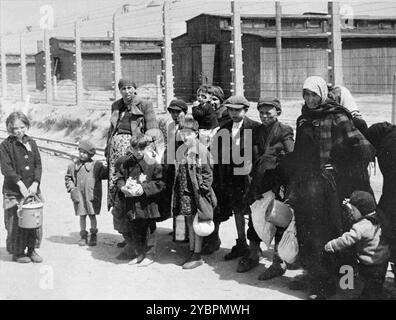 Jüdische Frauen und Kinder aus den Unterkarpaten Rus, die in Auschwitz-Birkenau zum Tode ausgewählt wurden, gehen in Richtung der Gaskammern. Die Juden in Ungarn waren ziemlich sicher, bis Hitler aus Angst, Ungarn würde einen Vertrag mit den Alliierten suchen, die Invasion des Landes im März 1944 anordnete. Zwischen dem 15. Mai und dem 9. Juli 1944 wurden über 434.000 Juden mit 147 Zügen deportiert, die meisten nach Auschwitz, wo etwa 80 Prozent bei der Ankunft vergast wurden. Der schnelle Fortschritt der Deportationen wurde durch die enge Zusammenarbeit zwischen den ungarischen und deutschen Behörden ermöglicht. Stockfoto