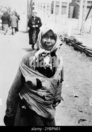 Eine ältere Jüdin aus der Karpaten Rus, heute Teil von Ungarn, die in Auschwitz-Birkenau zum Tode ausgewählt wurde, wartet darauf, in die Gaskammern gebracht zu werden. Die Juden in Ungarn waren ziemlich sicher, bis Hitler aus Angst, Ungarn würde einen Vertrag mit den Alliierten suchen, die Invasion des Landes im März 1944 anordnete. Zwischen dem 15. Mai und dem 9. Juli 1944 wurden über 434.000 Juden mit 147 Zügen deportiert, die meisten nach Auschwitz, wo etwa 80 Prozent bei der Ankunft vergast wurden. Der schnelle Fortschritt der Deportationen wurde durch die enge Zusammenarbeit zwischen den ungarischen und deutschen Behörden ermöglicht. Stockfoto