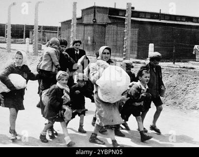 Jüdische Frauen und Kinder aus Ungarn, die in Auschwitz zum Tod ausgewählt wurden, gehen zu den Gaskammern. Die Juden in Ungarn waren ziemlich sicher, bis Hitler aus Angst, Ungarn würde einen Vertrag mit den Alliierten suchen, die Invasion des Landes im März 1944 anordnete. Zwischen dem 15. Mai und dem 9. Juli 1944 wurden über 434.000 Juden mit 147 Zügen deportiert, die meisten nach Auschwitz, wo etwa 80 Prozent bei der Ankunft vergast wurden. Der schnelle Fortschritt der Deportationen wurde durch die enge Zusammenarbeit zwischen den ungarischen und deutschen Behörden ermöglicht. Stockfoto