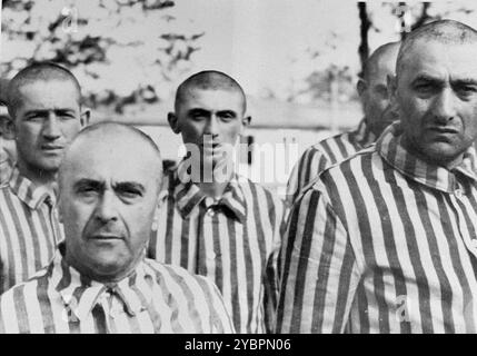 Jüdische Männer aus Ungarn, die für Zwangsarbeit in Auschwitz ausgewählt wurden, stehen in ihren neu ausgestellten Gefängnisuniformen bei einem namentlichen Aufruf. Die Juden in Ungarn waren ziemlich sicher, bis Hitler aus Angst, Ungarn würde einen Vertrag mit den Alliierten suchen, die Invasion des Landes im März 1944 anordnete. Zwischen dem 15. Mai und dem 9. Juli 1944 wurden über 434.000 Juden mit 147 Zügen deportiert, die meisten nach Auschwitz, wo etwa 80 Prozent bei der Ankunft vergast wurden. Der schnelle Fortschritt der Deportationen wurde durch die enge Zusammenarbeit zwischen den ungarischen und deutschen Behörden ermöglicht. Stockfoto