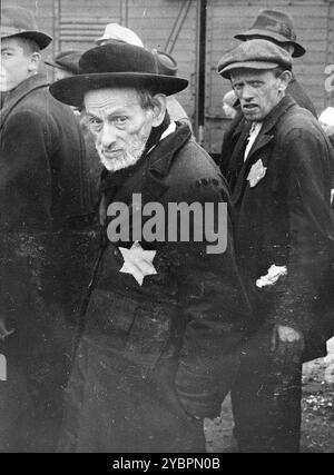 Jüdische Männer aus Ungarn warten auf die Auswahl auf der Rampe Auschwitz-Birkenau. Die Juden in Ungarn waren ziemlich sicher, bis Hitler aus Angst, Ungarn würde einen Vertrag mit den Alliierten suchen, die Invasion des Landes im März 1944 anordnete. Zwischen dem 15. Mai und dem 9. Juli 1944 wurden über 434.000 Juden mit 147 Zügen deportiert, die meisten nach Auschwitz, wo etwa 80 Prozent bei der Ankunft vergast wurden. Der schnelle Fortschritt der Deportationen wurde durch die enge Zusammenarbeit zwischen den ungarischen und deutschen Behörden ermöglicht. Stockfoto