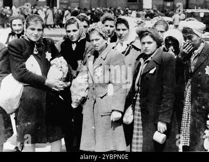 Jüdische Frauen aus Ungarn, die für Zwangsarbeit in Auschwitz-Birkenau ausgewählt wurden, warten darauf, in einen anderen Abschnitt des Lagers gebracht zu werden. Die Juden in Ungarn waren ziemlich sicher, bis Hitler aus Angst, Ungarn würde einen Vertrag mit den Alliierten suchen, die Invasion des Landes im März 1944 anordnete. Zwischen dem 15. Mai und dem 9. Juli 1944 wurden über 434.000 Juden mit 147 Zügen deportiert, die meisten nach Auschwitz, wo etwa 80 Prozent bei der Ankunft vergast wurden. Der schnelle Fortschritt der Deportationen wurde durch die enge Zusammenarbeit zwischen den ungarischen und deutschen Behörden ermöglicht. Stockfoto